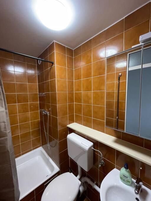 Renewed One Bedroom On A Good Location Ljubljana