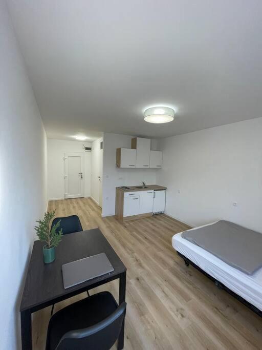 Renewed One Bedroom On A Good Location Ljubljana