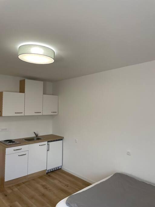Apartma Renewed One Bedroom On A Good Location Ljubljana